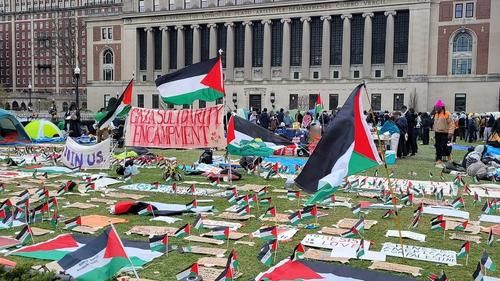 Палаточный лагерь пропалестинских протестующих. Апрель 2024 г.