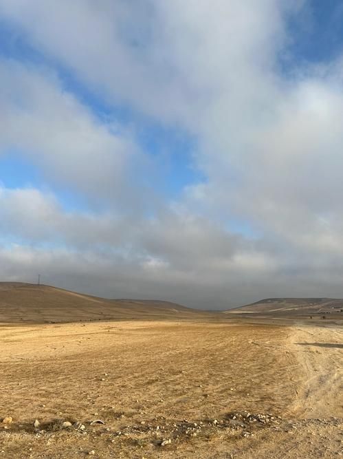 Пустыня Негев