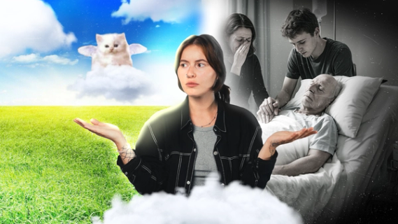 Изображение-Смерть — это право? 